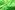 4400-42 Velours de panne fluor groen