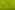 NB 2900-23 Frottee apfelgrün (beidseitig mit Schlingen)