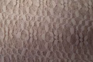 Ptx 966301-320 Kant-achtig rekbaar donkerbeige - Ptx 966301-320 Kant-achtig rekbaar donkerbeige 101113-ptx-966301-320-kant-achtig-rekbaar-donkerbeige--ptx-966301-320-kant-achtig-rekbaar-donkerbeige-.jpg