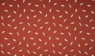 KC1472-257 Jersey Feder rost - KC1472-257 Jersey Feder rost 103132-kc1472-257-jersey-feder-rost-kc1472-257-jersey-feder-rost.jpg