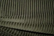 KN20/21 0729-215 Tricot corduroy legergroen - KN20/21 0729-215 Tricot corduroy legergroen 107204-kn2021-0729-215-tricot-corduroy-legergroen-kn2021-0729-215-tricot-corduroy-legergroen.jpg