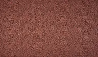 KC0486-014 Katoen panterprint dark peach - KC0486-014 Katoen panterprint dark peach 108225-kc0486-014-katoen-panterprint-dark-peach-kc0486-014-katoen-panterprint-dark-peach.jpg