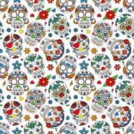 NB21 15809-050 Tricot bedrukt skulls wit - NB21 15809-050 Tricot bedrukt skulls wit 109726-nb21-15809-050-tricot-bedrukt-skulls-wit-nb21-15809-050-tricot-bedrukt-skulls-wit.png