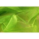 Organza stof - appelgroen - 4455-015 - Organza stof - appelgroen - 4455-015 115901-organza-stof-appelgroen-4455-015-organza-stof-appelgroen-4455-015.jpg
