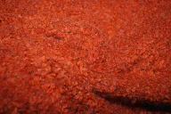 KN 0406-445 Boucle terra - KN 0406-445 Boucle terra 115957-kn-0406-445-boucle-terra-kn-0406-445-boucle-terra.jpg