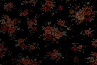 116224-katoen-stof-poplin-bloemen-zwart-17953-999-katoen-stof-poplin-bloemen-zwart-17953-999.jpg