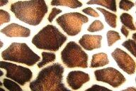 117287-polyester-stof-dierenprint-giraffe-ecrubruindonkerbruin-4508-056-polyester-stof-dierenprint-giraffe-ecrubruindonkerbruin-4508-056.jpg