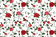 118750-katoen-stof-poplin-bloemen-donkergroen-rood-19419-028-katoen-stof-poplin-bloemen-donkergroen-rood-19419-028.png