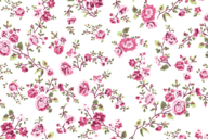 Katoen stof - poplin bloemen - roze - 19411-012 - Katoen stof - poplin bloemen - roze - 19411-012 118759-katoen-stof-poplin-bloemen-roze-19411-012-katoen-stof-poplin-bloemen-roze-19411-012.png