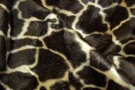 120700-polyester-stof-dierenprint-giraffe-4515-058-polyester-stof-dierenprint-giraffe-4515-058.jpg
