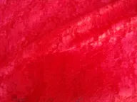 Kant rood B8 - Kant rood B8 25241-kant-rood-b8-kant-rood-b8.jpg