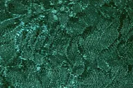 NB 3958-028 Kant gebloemd groen - NB 3958-028 Kant gebloemd groen 72397-nb-3958-028-kant-gebloemd-groen-nb-3958-028-kant-gebloemd-groen.jpg