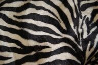 74546-polyester-stof-dierenprint-zebra-beigedonkerbruin-4510-52-polyester-stof-dierenprint-zebra-beigedonkerbruin-4510-52.jpg