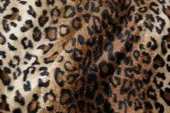 Polyester stof - Dierenprint - cognac/zwart/beige - 4504-055 - Polyester stof - Dierenprint - cognac/zwart/beige - 4504-055 76488-polyester-stof-dierenprint-cognaczwartbeige-4504-055-polyester-stof-dierenprint-cognaczwartbeige-4504-055.jpg