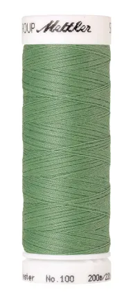 Amann Mettler naaigaren lichtgroen 0219 - Amann Mettler naaigaren lichtgroen 0219 90347-amann-mettler-naaigaren-lichtgroen-0219-amann-mettler-naaigaren-lichtgroen-0219.jpg
