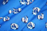 Katoen stof - prinses in rondje - blauw - 3243-002 - Katoen stof - prinses in rondje - blauw - 3243-002 92671-katoen-stof-prinses-in-rondje-blauw-3243-002-katoen-stof-prinses-in-rondje-blauw-3243-002.jpg