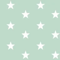 ByPoppy19 4954-011 Baumwolle stars mint - ByPoppy19 4954-011 Baumwolle stars mint 97825-bypoppy19-4954-011-baumwolle-stars-mint-bypoppy19-4954-011-baumwolle-stars-mint.jpg