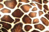 -Polyester stof - Dierenprint giraffe - ecru/bruin/donkerbruin - 4508-056 - Polyester stof - Dierenprint giraffe - ecru/bruin/donkerbruin - 4508-056