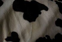 -Polyester stof - Dierenprint koe vlekken - off-white/zwart - 4501-051 - Polyester stof - Dierenprint koe vlekken - off-white/zwart - 4501-051