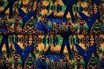 -Tricot stof - digitaal dierenprint vogels - oranje blauw - 21927 - Tricot stof - digitaal dierenprint vogels - oranje blauw - 21927