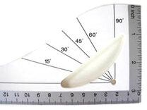 -Liniaal (naaisterhaak) van 30 cm lang* - Liniaal (naaisterhaak) van 30 cm lang*