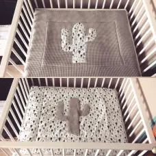 Boxkleed cactus