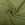 Tricot stof - Pure Bamboo - mosgroen - 0781-213 - Tricot stof - Pure Bamboo - mosgroen - 0781-213