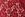 Kant stof - bloemen - rood - 0908-425 - Kant stof - bloemen - rood - 0908-425