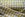 Katoen stof - Boerenbont ruit (1,5 cm) - geel - 5583-035 - Katoen stof - Boerenbont ruit (1,5 cm) - geel - 5583-035
