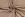 Tricot stof - gestreept - bruin - 18489-053 - Tricot stof - gestreept - bruin - 18489-053