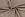 Tricot stof - gestreept - bruin - 18489-055 - Tricot stof - gestreept - bruin - 18489-055