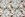 Katoen stof - poplin vogeltjes katoentakken - wit - 20121-02 - Katoen stof - poplin vogeltjes katoentakken - wit - 20121-02