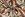 Tricot stof - bladeren - beige terra - 19201-036 - Tricot stof - bladeren - beige terra - 19201-036