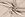 Crepe Georgette stof - bedrukt vlekjes - beige - 19080-052 - Crepe Georgette stof - bedrukt vlekjes - beige - 19080-052