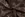 Katoen stof - satin panterprint - bruin - 19115-055 - Katoen stof - satin panterprint - bruin - 19115-055