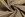 Viscose stof - poplin - beige - 19299-152 - Viscose stof - poplin - beige - 19299-152