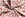Katoen stof - bloemen - wit rood - 19749-050 - Katoen stof - bloemen - wit rood - 19749-050