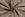 Stretch stof - bengaline - abstract - beige - 20083-052 - Stretch stof - bengaline - abstract - beige - 20083-052