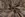 Jersey Stoff - Viskose - Paisley Blumen - grau/ocker - 20211-068 - Jersey Stoff - Viskose - Paisley Blumen - grau/ocker - 20211-068