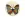 Knoop parelmoer vlinder - 5654-80 - Knoop parelmoer vlinder - 5654-80