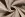 Katoen stof - hydrofiel 4 laags - gerecycled - taupe grijs - 21210-154 - Katoen stof - hydrofiel 4 laags - gerecycled - taupe grijs - 21210-154