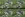 Tricot stof - French Terry - digitaal monster truck - multi groen - 22530-10 - Tricot stof - French Terry - digitaal monster truck - multi groen - 22530-10