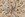 Tricot stof - safari dieren - zandbeige - 5645-020 - Tricot stof - safari dieren - zandbeige - 5645-020