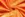 Velours de panne - orange - 5666-036 - Velours de panne - orange - 5666-036