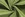 Joggingstof - appelgroen - 5650-024 - Joggingstof - appelgroen - 5650-024