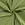 Joggingstof - appelgroen - 5650-024 - Joggingstof - appelgroen - 5650-024