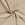 Katoen stof - hydrofielstof - licht beige - 3001-151 - Katoen stof - hydrofielstof - licht beige - 3001-151