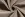 Katoen stof - Hydrofielstof uni - beige - 3001-052 - Katoen stof - Hydrofielstof uni - beige - 3001-052
