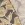 Viscose stof - bloemen en bladeren - taupe - 20153-054 - Viscose stof - bloemen en bladeren - taupe - 20153-054