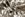 Viscose stof - abstract - taupe grijs - 20152-054 - Viscose stof - abstract - taupe grijs - 20152-054